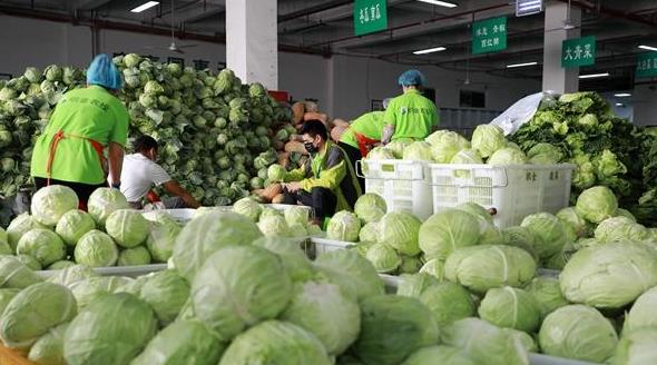 蔬菜分拣现场管理制度