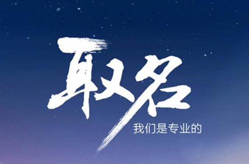 净菜加工配送公司起什么名字好 净菜加工配送公司起名大全