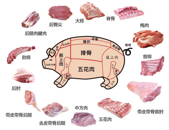 猪肉分割定价表（白条猪分割测算参考表）